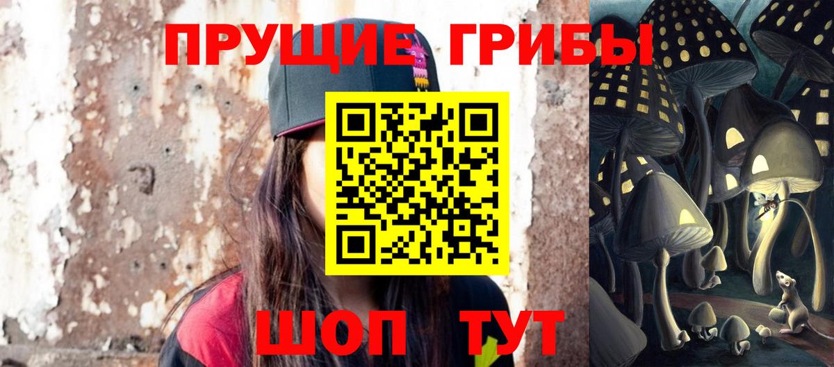 Нальчик  Псилоцибиновые грибы Cubensis  купить  сайты  Вход с VPN 