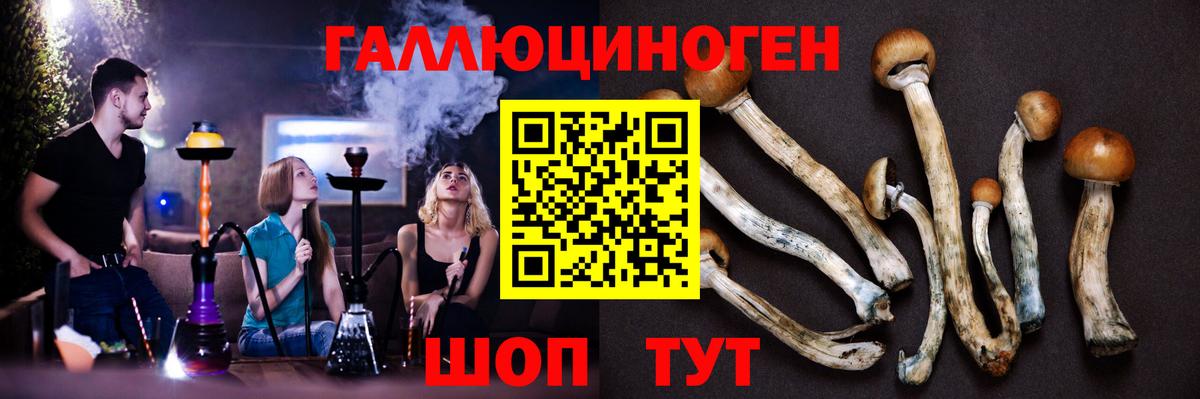 Псилоцибиновые грибы мухоморы Нальчик